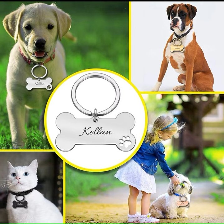 Custom Polished Stainless Steel Bone Dog ID Tag - Medium - Size 40mm*21mm