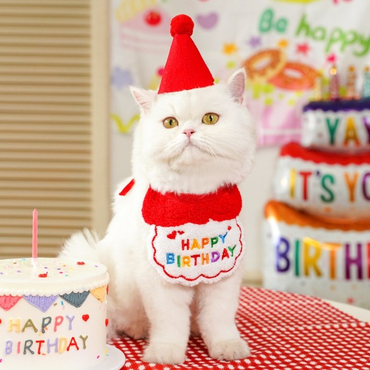 Celebrate in Style – Happy Birthday Bib Scarf for Pets