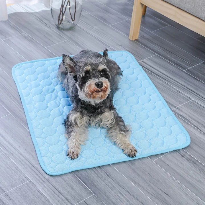 Summer Ice Cooling Mat – Cool Comfort for Dogs & Cats - Size 60*50cm
