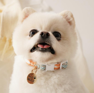 Screenshot 2025-11-27 at 3.30.01 PM